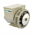 1500rpm 3fase 30kW 40kW Alternador sem escova de 50kw com AVR